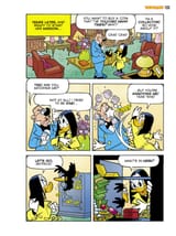 Origins of a Witch19