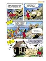 Origins of a Witch23