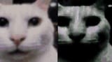 1731791744791971