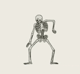 bones