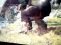 dd2 is ass_thumb.jpg