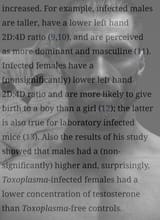TOXOCHAD