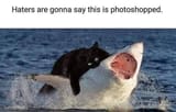 1717368209287216