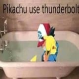 owarida