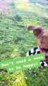 1748449412929501_thumb.jpg