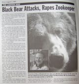 Bear
