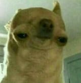 1606894586771