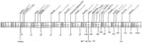 logarithmic_timeline