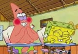 sponge