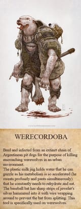 werecordobag