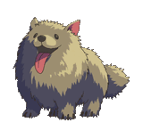 hype dog