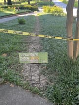 desire paths