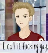 I call it fucking gay