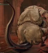 how-why-does-the-godskin-noble-have-a-reptile-tail-v0-kqcbahlnp9ja1