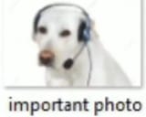 important photo