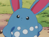 azuzu