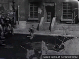 giphy