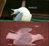 1745610361143780