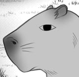 Cappybara pulls up.jfif