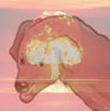 1596138153091