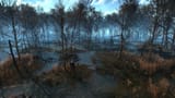 Swamps+of+Velen