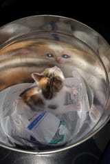 0