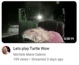 Turtle WoW Troon