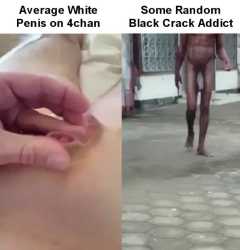 1740628059676732_thumb.jpg