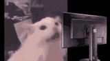 1725191899187