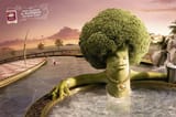 broc