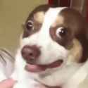 TheHorror_thumb.jpg