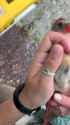 1700584626921414_thumb.jpg