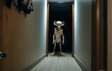 Skeleton Dobbie