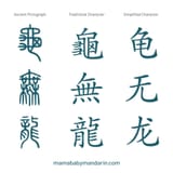 traditional-vs-simplified-turtle-none-dragon-1024x1024