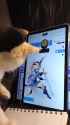 catcha gameplay_thumb.jpg
