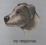 1737215881888580