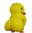 duckass-twitch