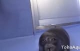 Gtj5c69bAAAcTSr