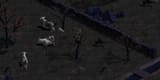 cows-diablo-perusoe[1]