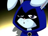 bunny raven