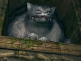 2018522174526_1[1]