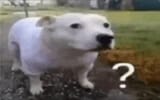 1752851763717256