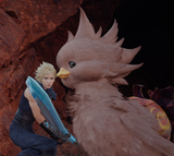 ff_fucking_birds