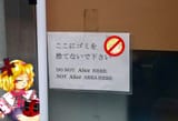 not alice area
