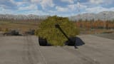 bushes