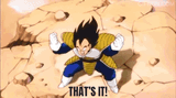 vegeta-tfs