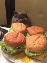 nat_c3b88f24fc130e43024c403567dd6f32