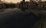 bug