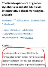 your brain on autism