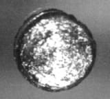 Californium disc
